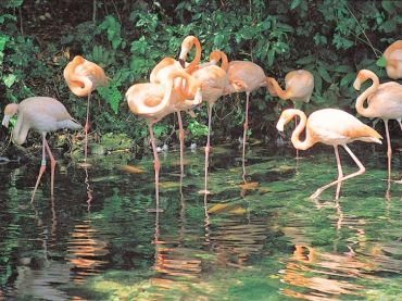 Национальный парк Харагуа Доминиканская республика 